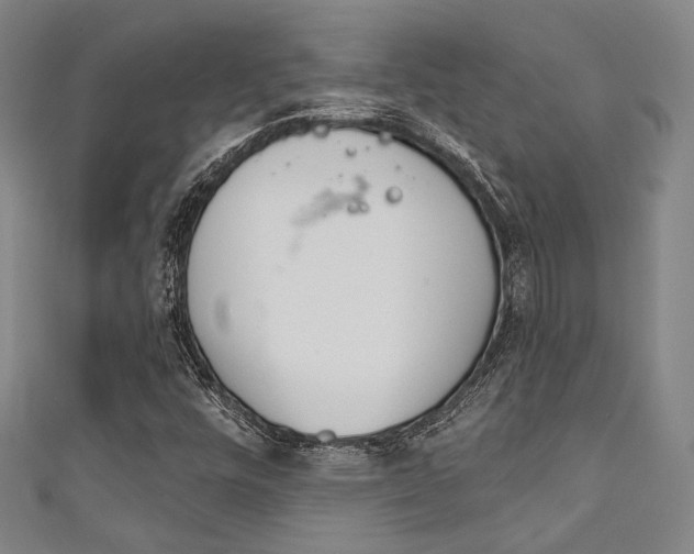 X0000111641448200907171028