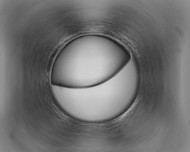 X0000111641449200907171028