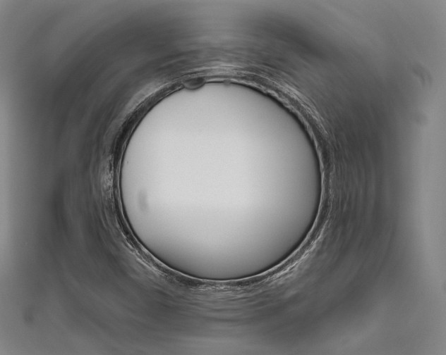 X0000111641450200907171028