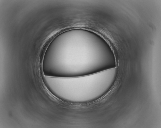 X0000111641452200907171028