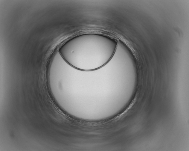 X0000111641453200907171028