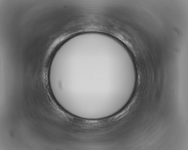 X0000111641454200907171028