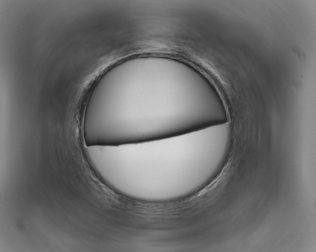 X0000111641455200907171028
