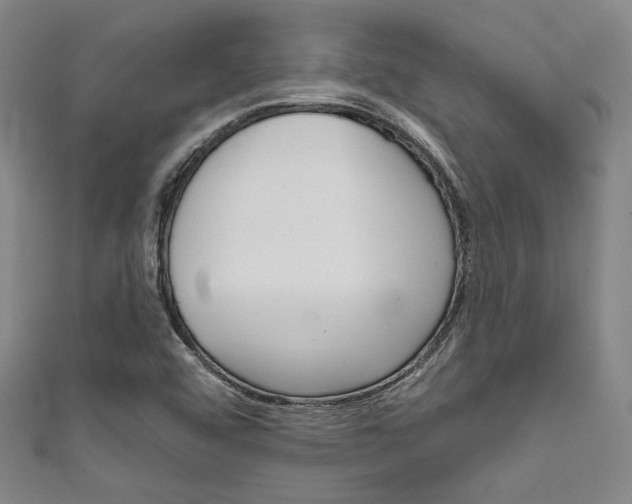 X0000111641456200907171028