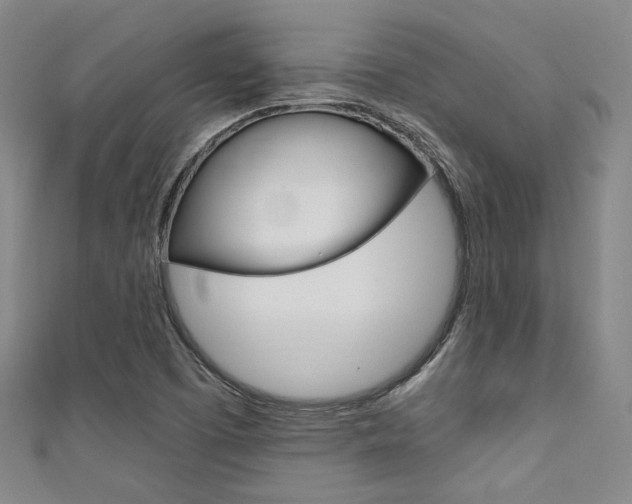 X0000111641457200907171028