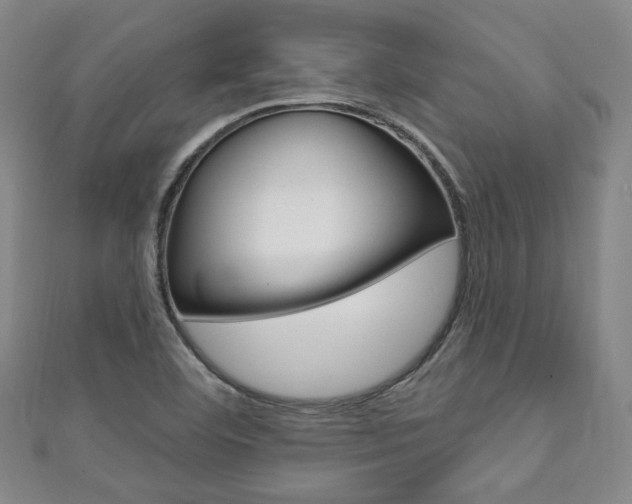 X0000111641460200907171028