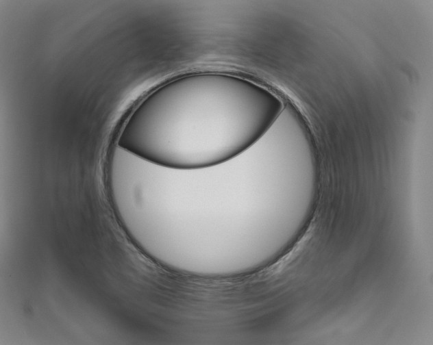 X0000111641461200907171028