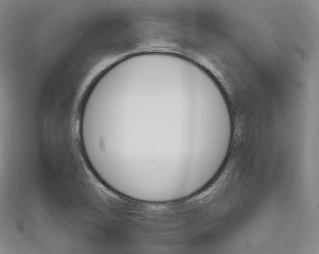 X0000111641462200907171028