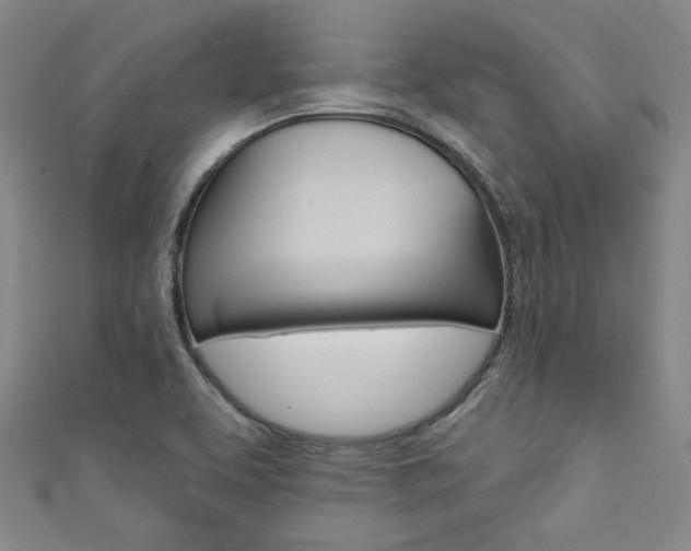 X0000111641463200907171028