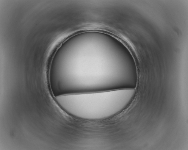 X0000111641464200907171028