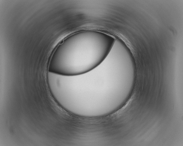 X0000111641465200907171028