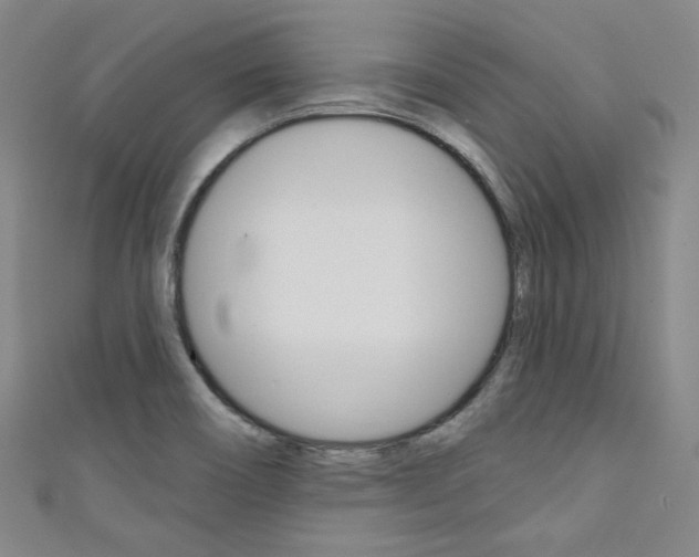 X0000111641466200907171028