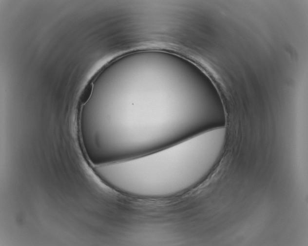 X0000111641468200907171028