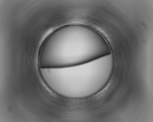 X0000111641469200907171028