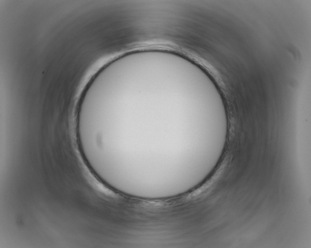 X0000111641470200907171028