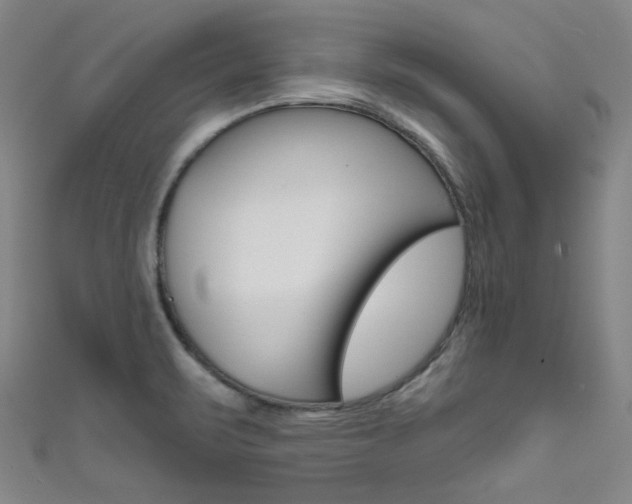 X0000111641471200907171028