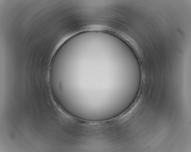 X0000111641473200907171028
