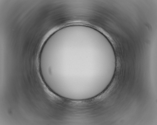 X0000111641474200907171028