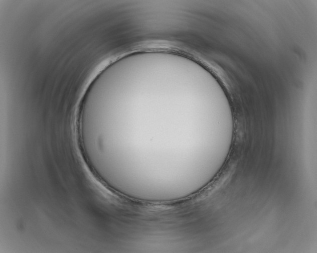 X0000111641475200907171028
