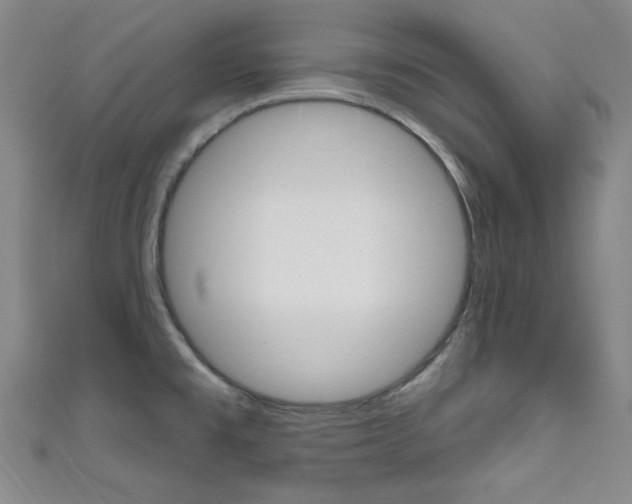 X0000111641477200907171028