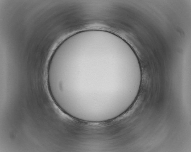 X0000111641478200907171028