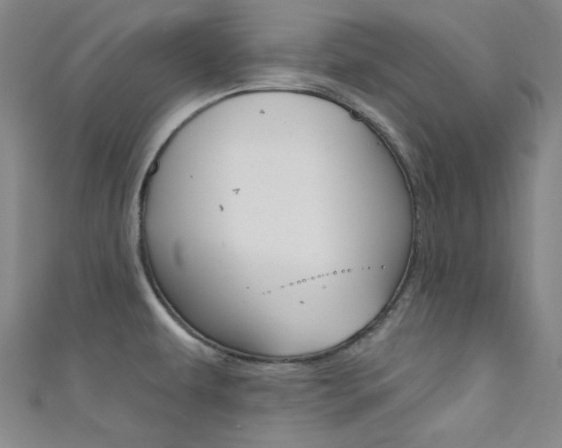X0000111641479200907171028
