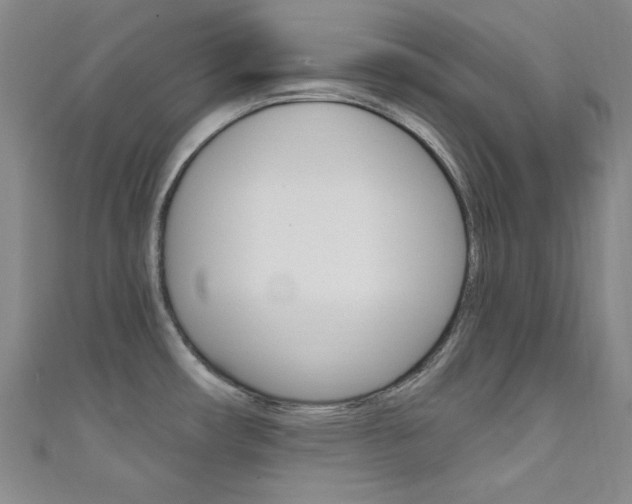 X0000111641482200907171028