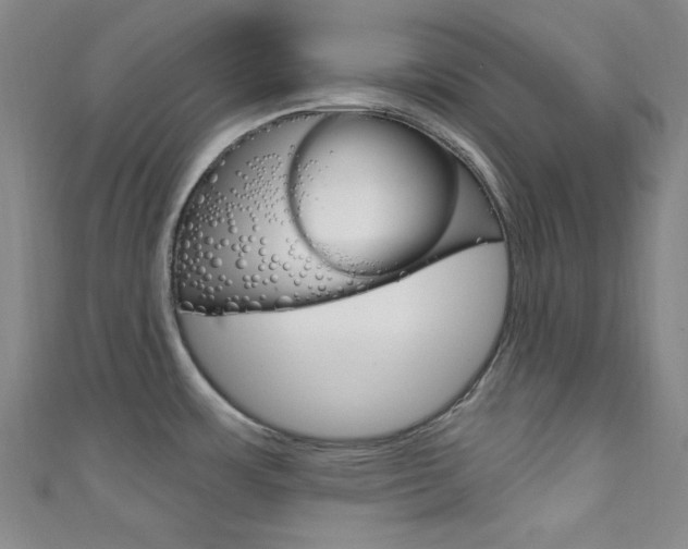 X0000111641483200907171028