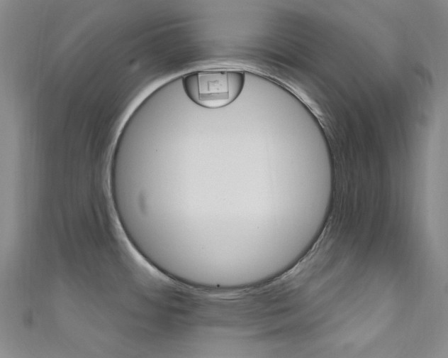 X0000111641484200907171028