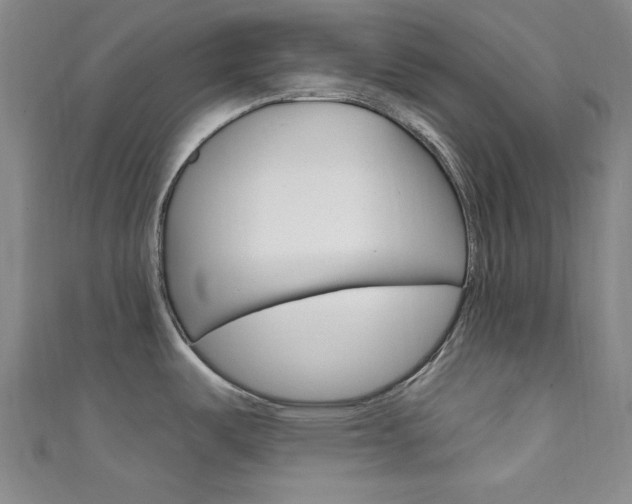 X0000111641487200907171028