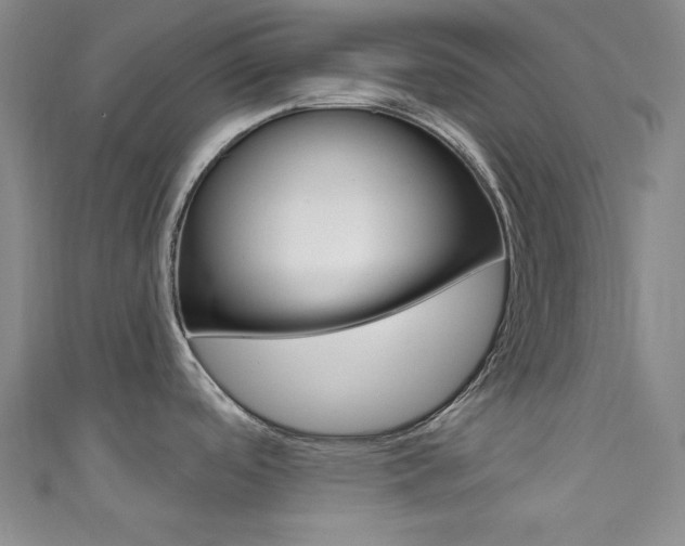 X0000111641488200907171028