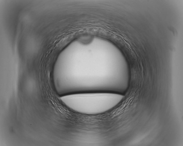 X0000111641489200907171027