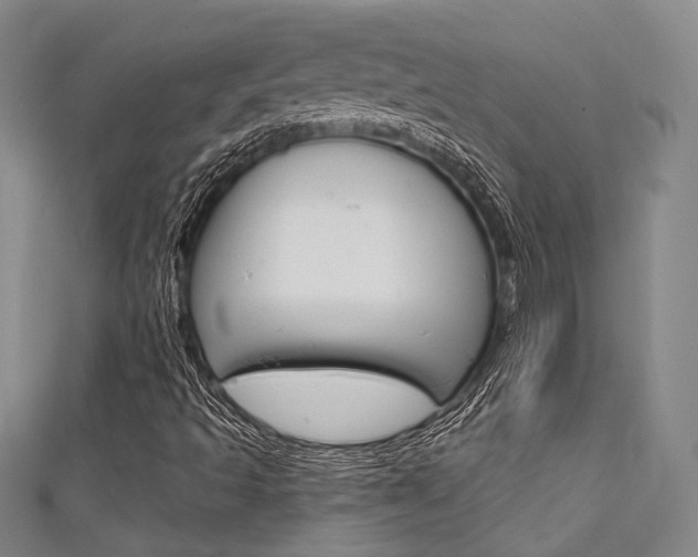 X0000111641493200907171027