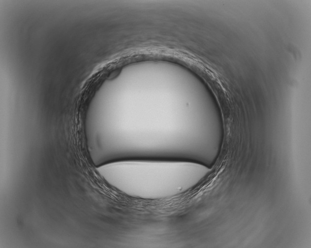 X0000111641494200907171027
