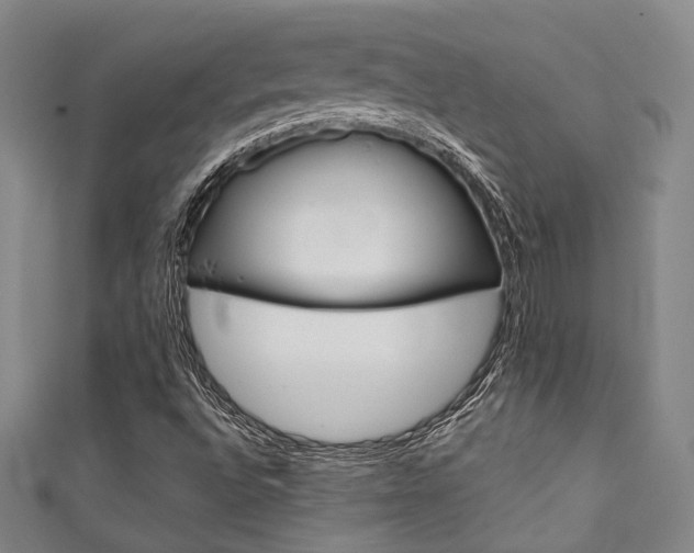 X0000111641496200907171027