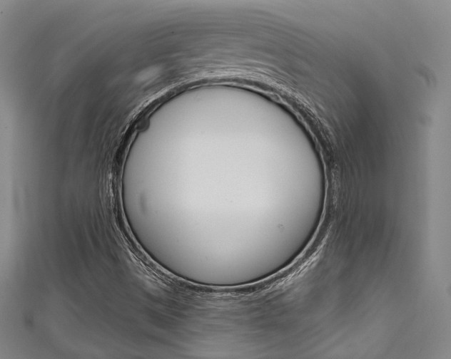 X0000111641497200907171027
