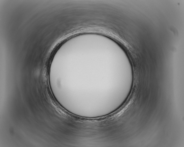 X0000111641498200907171027