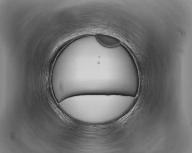 X0000111641499200907171027