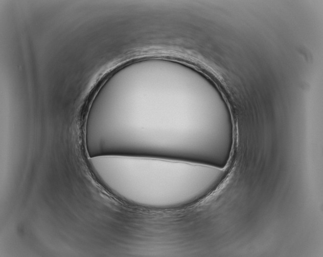 X0000111641501200907171027