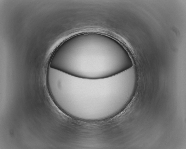 X0000111641504200907171027