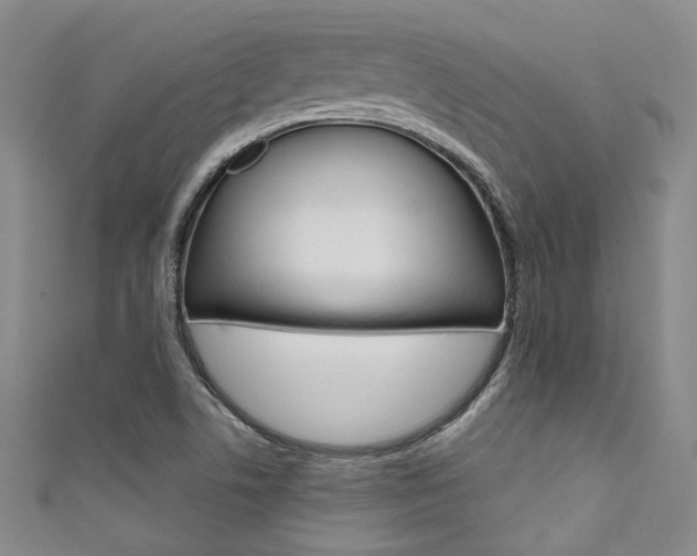 X0000111641506200907171027