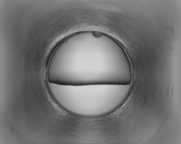X0000111641507200907171027
