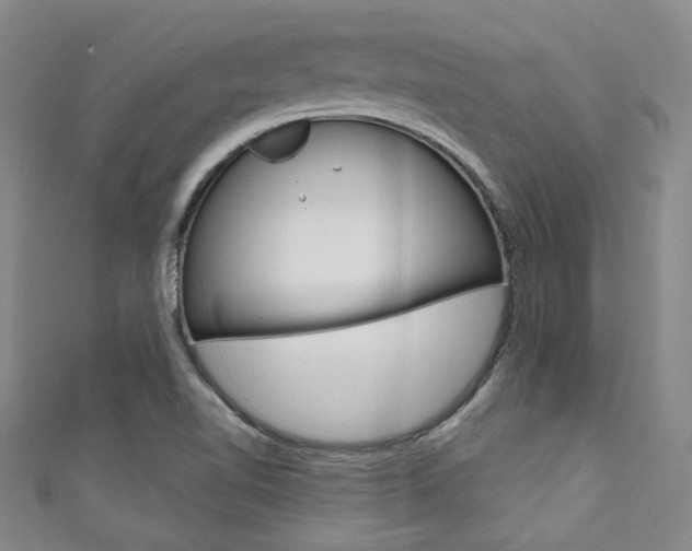 X0000111641510200907171027