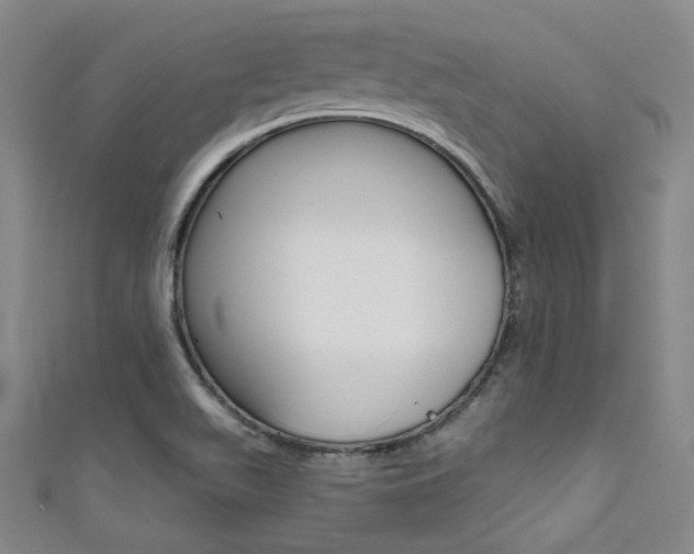 X0000111641511200907171027