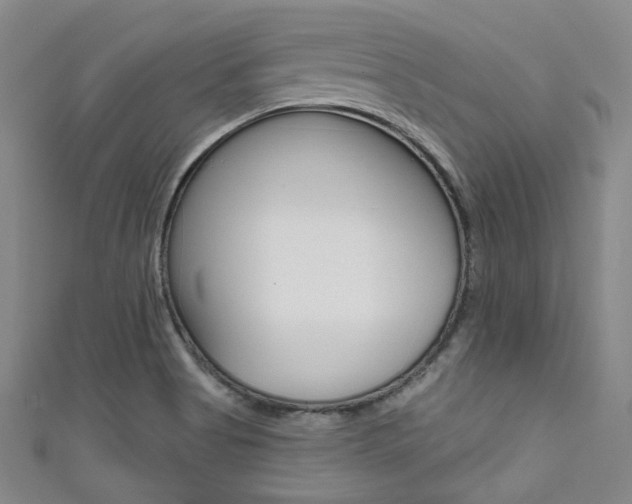 X0000111641513200907171027