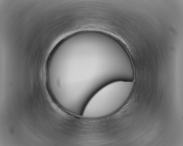 X0000111641515200907171027