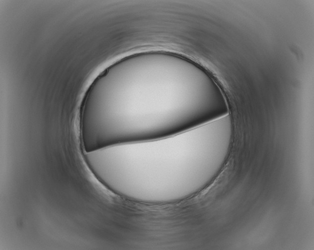 X0000111641516200907171027
