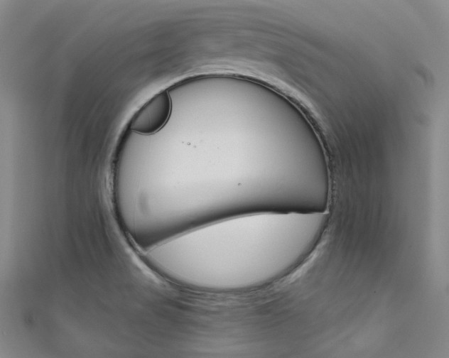 X0000111641517200907171027