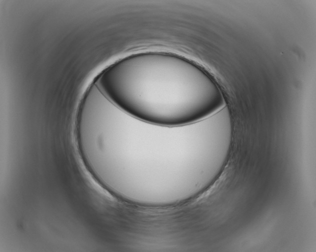 X0000111641518200907171027