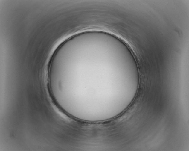 X0000111641519200907171027